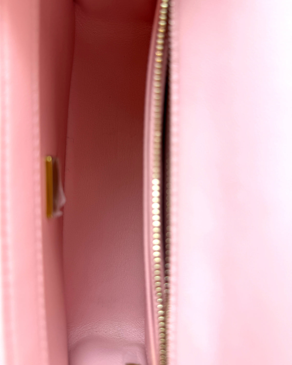 Mini Rectangular Flap Bag with Camelia Crush