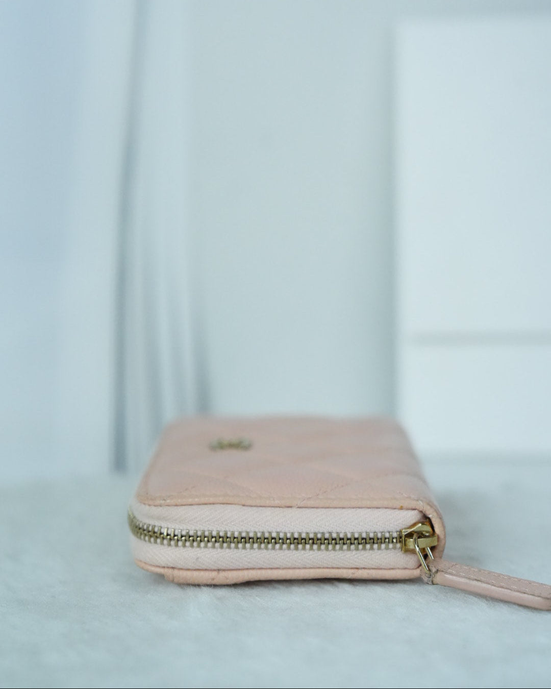 Zipped Coin Purse