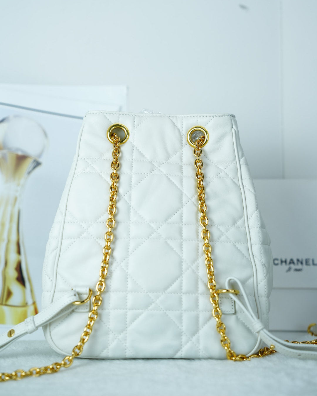 Dior Caro Backpack