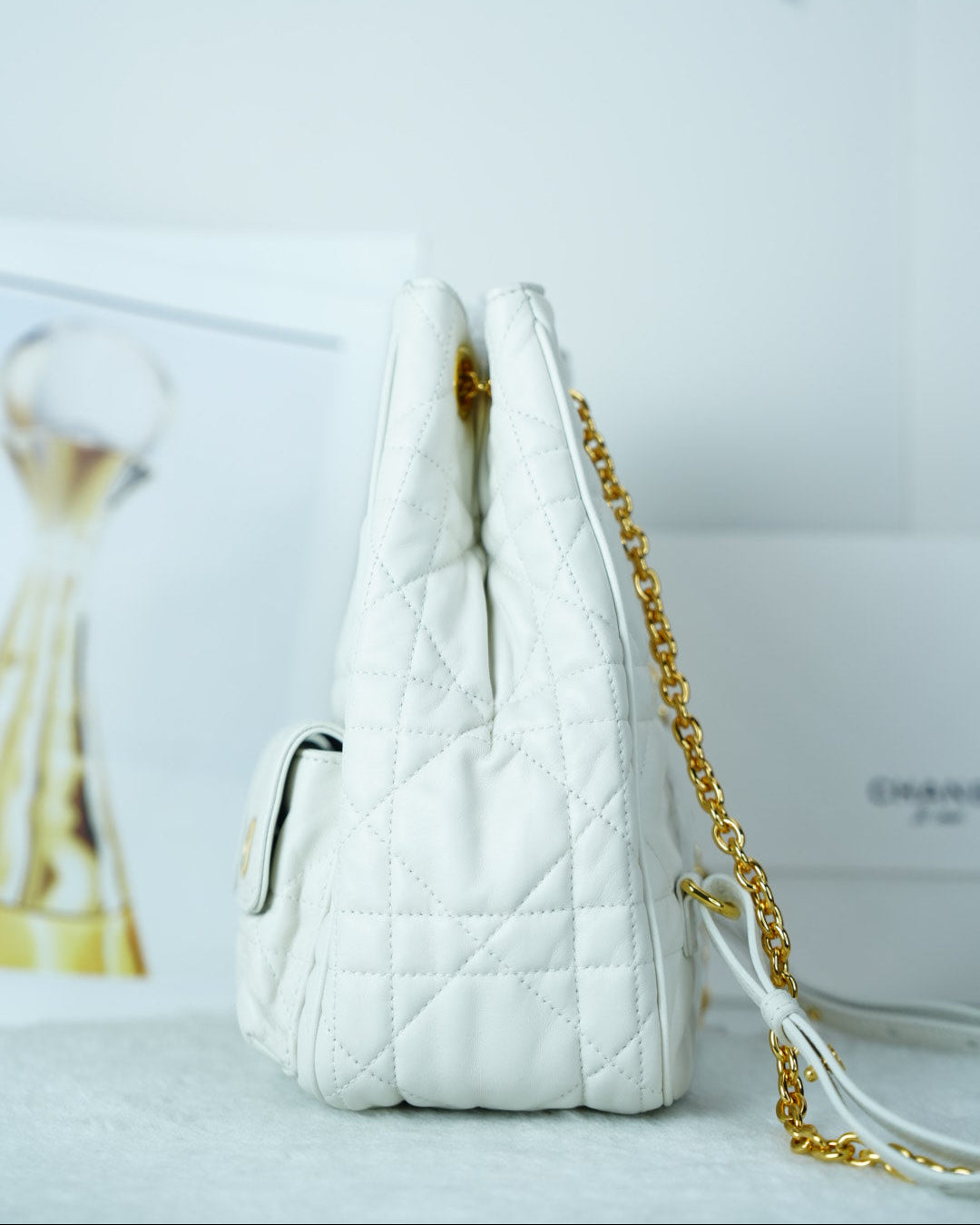 Dior Caro Backpack