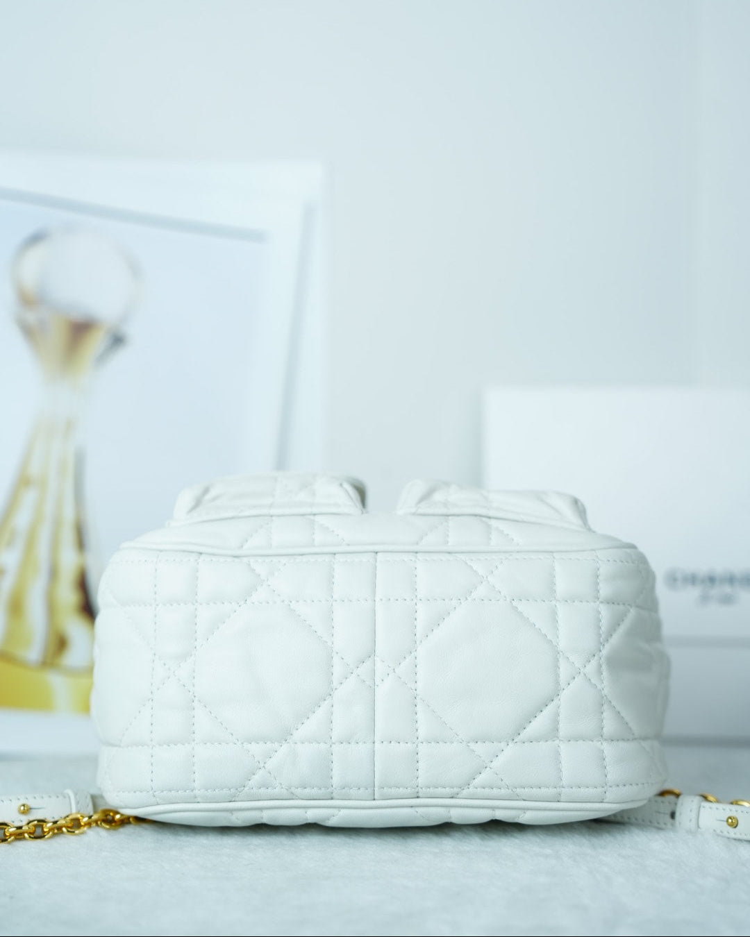 Dior Caro Backpack
