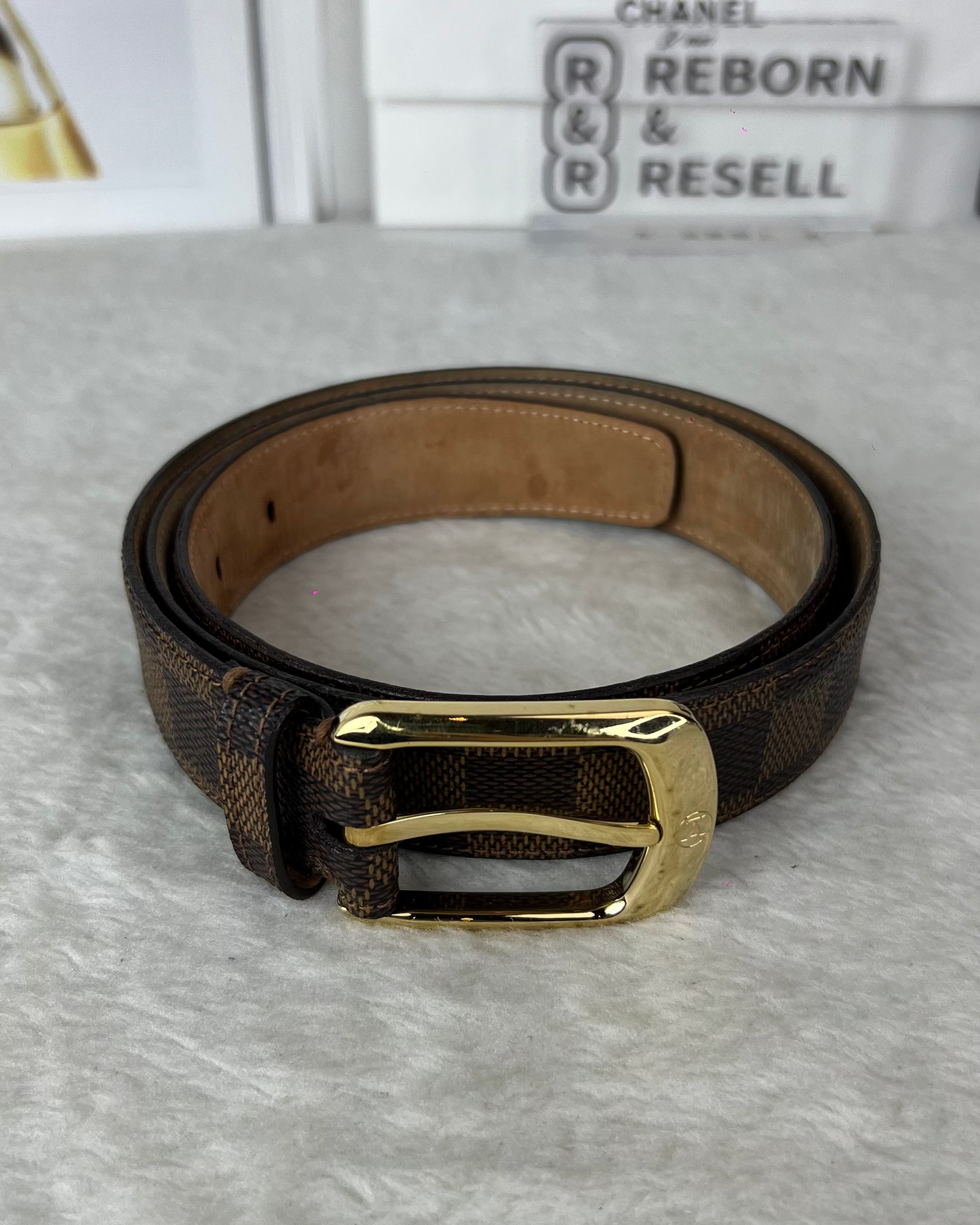 Ceinture Ellipse Belt