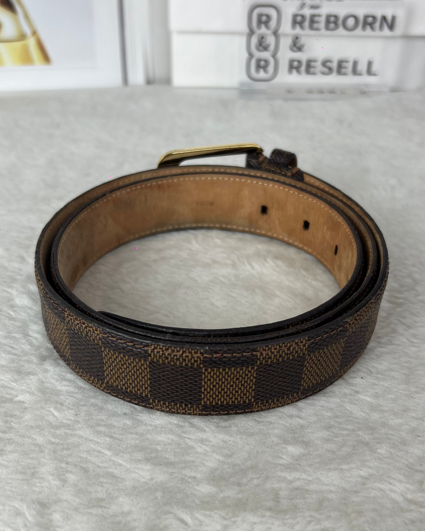 Ceinture Ellipse Belt