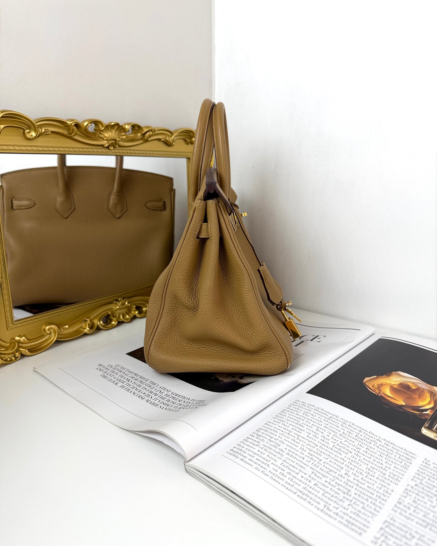 Birkin 25