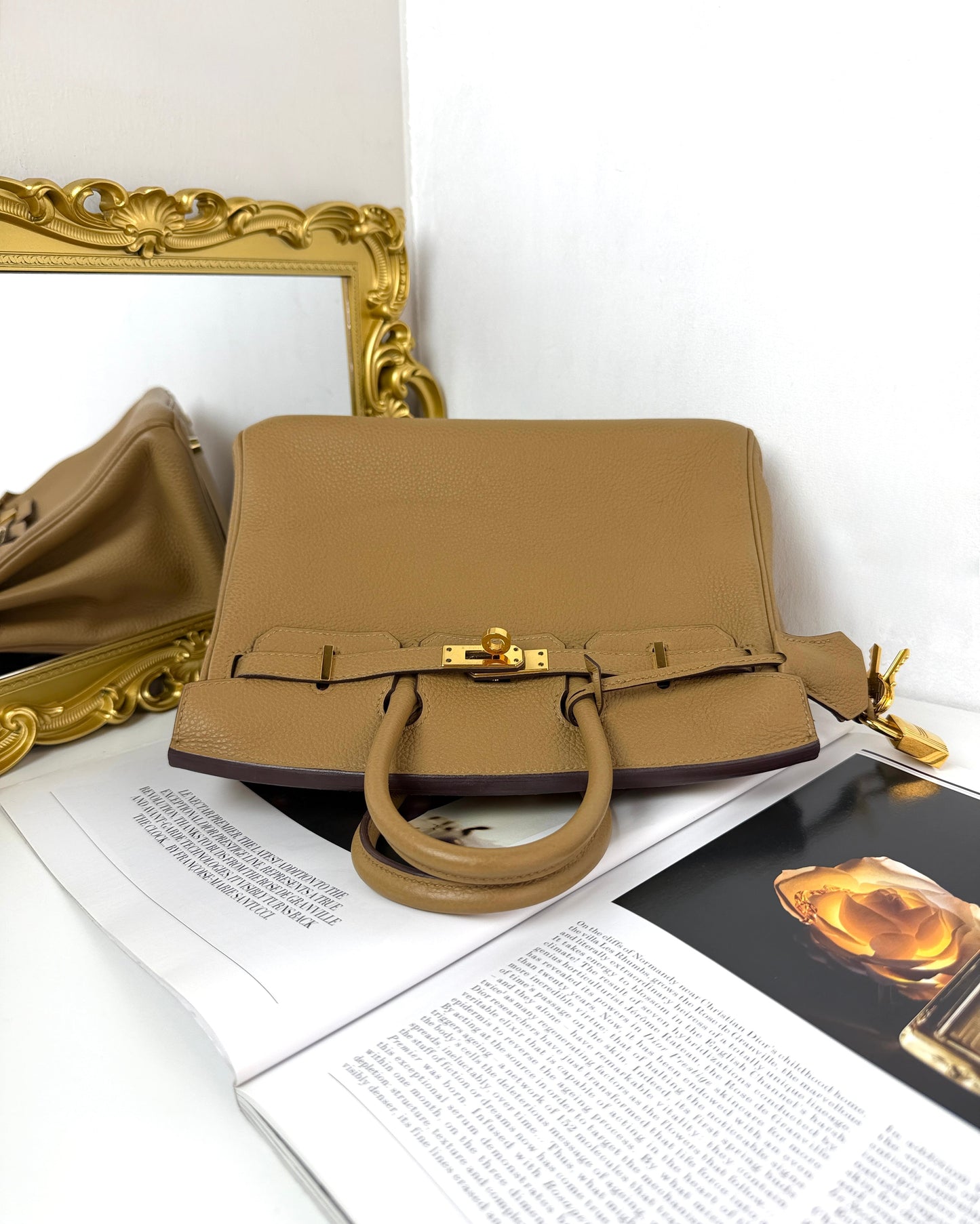 Birkin 25