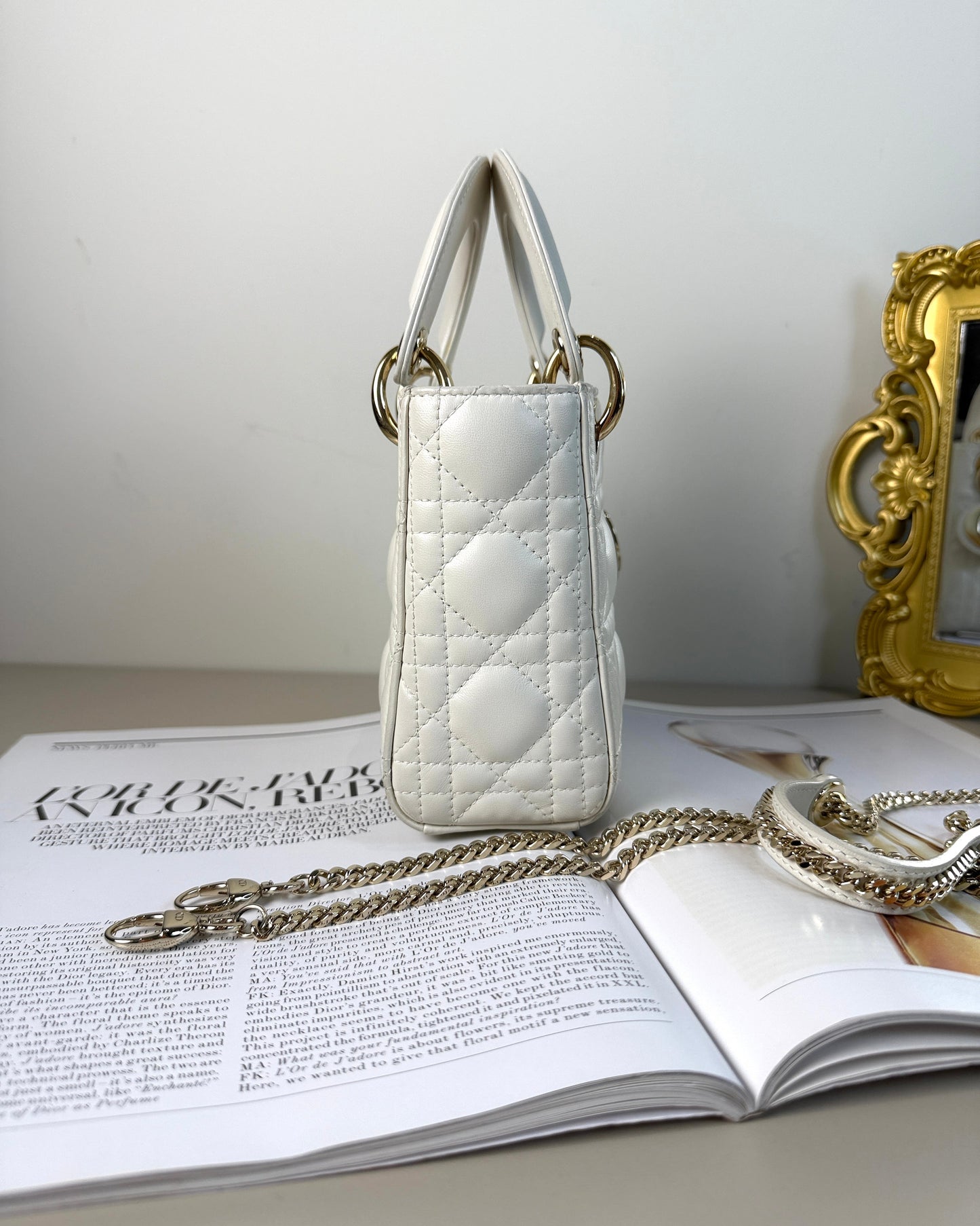 Mini Lady Dior Bag