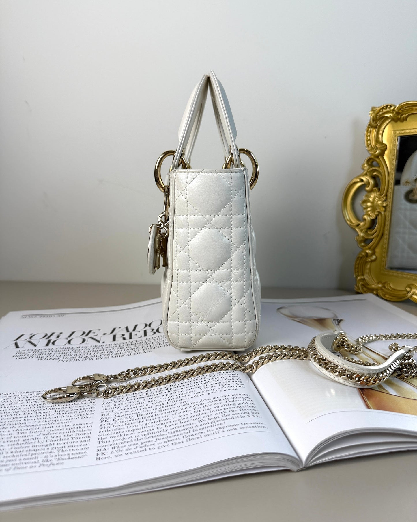 Mini Lady Dior Bag