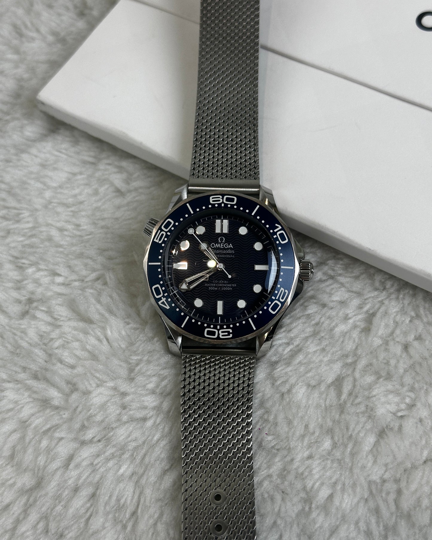 Seamaster Diver