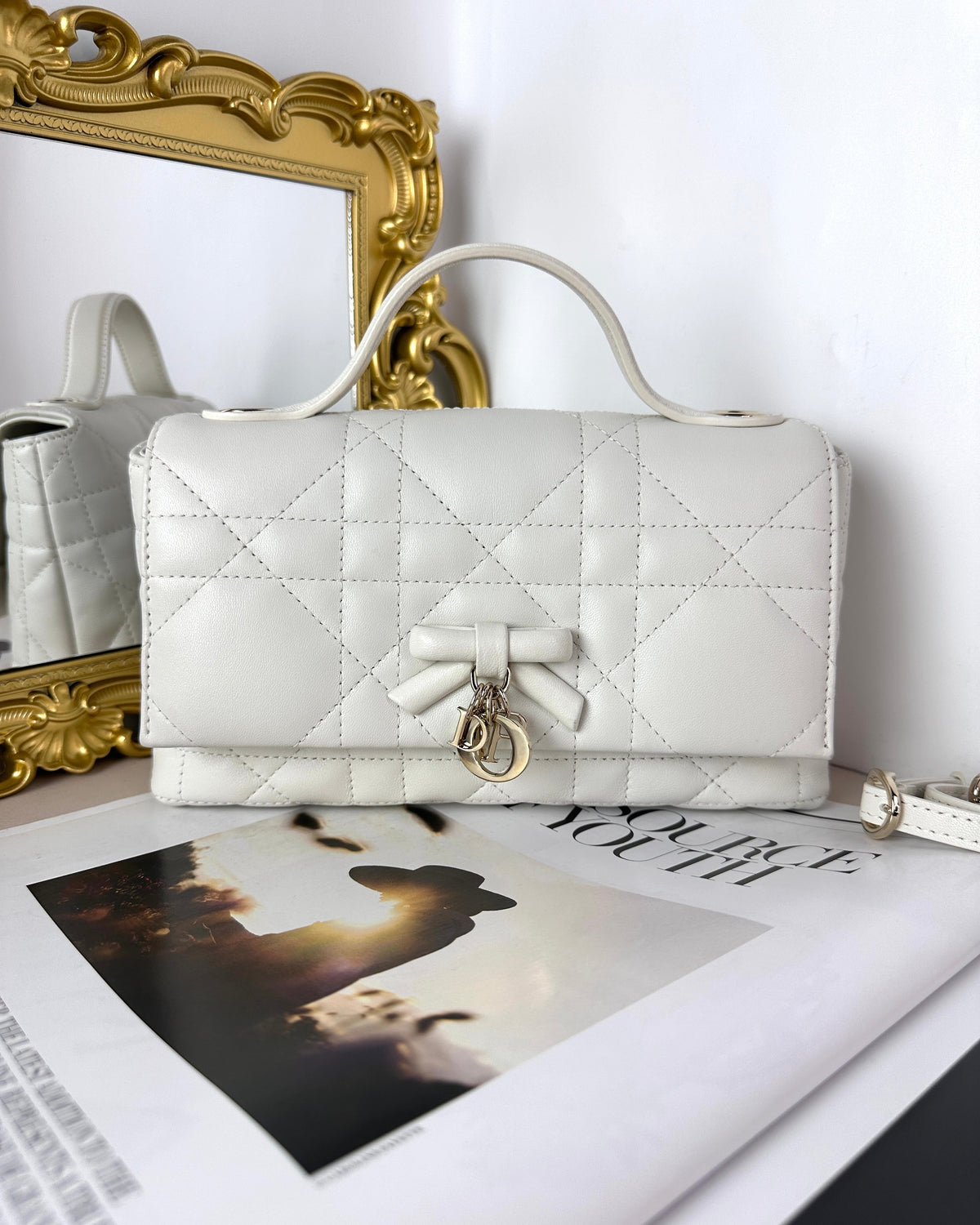 My Tender Dior Top Handle Mini Bag
