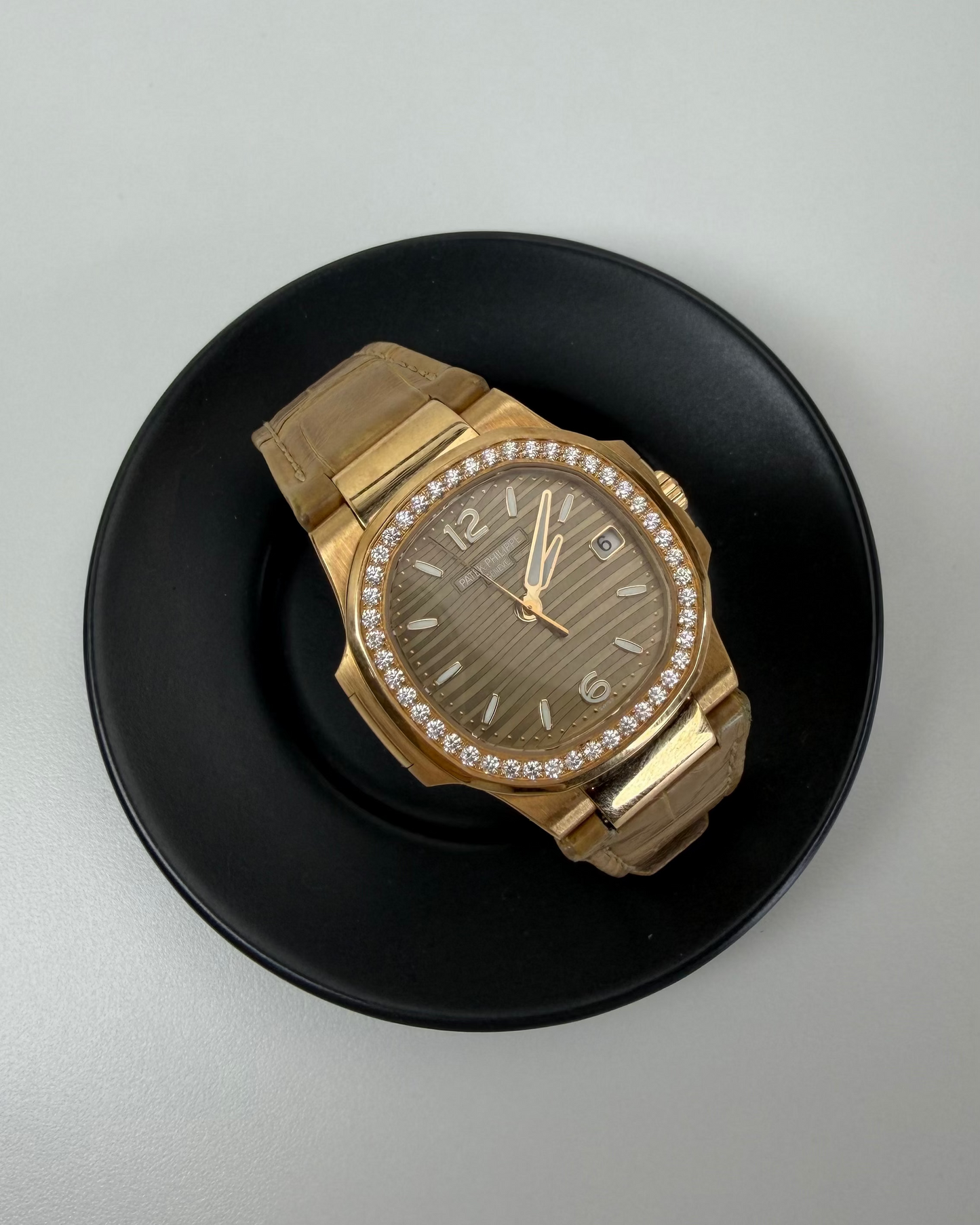 Nautilus