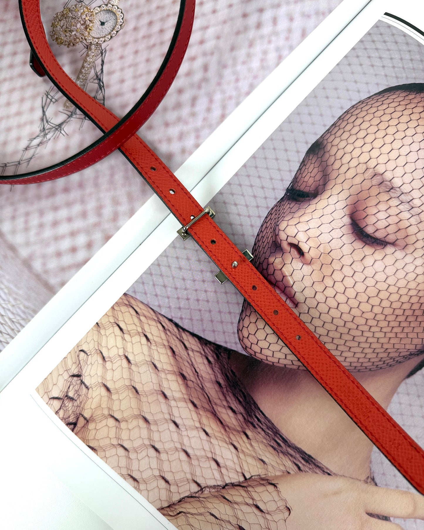Focus Belt