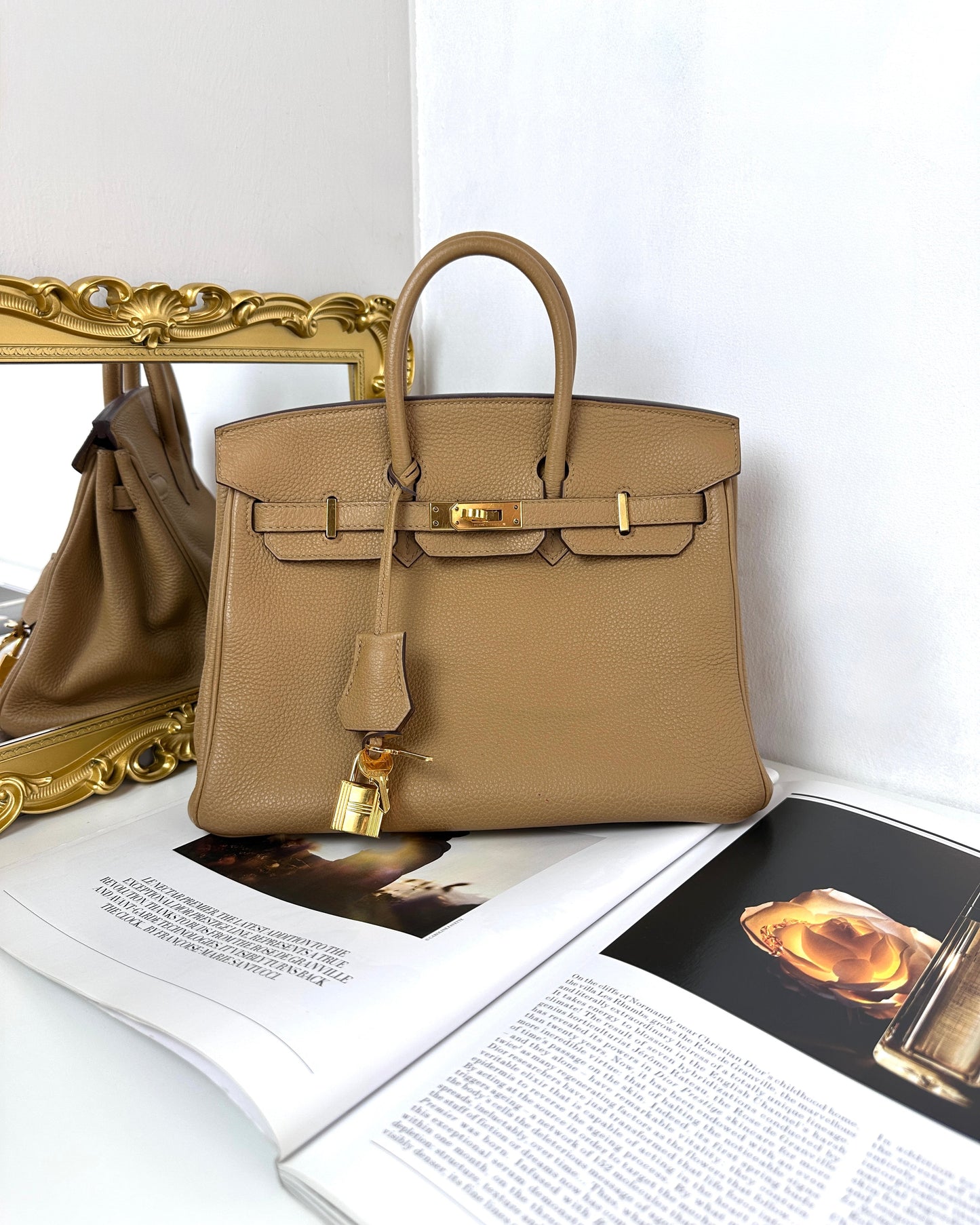 Birkin 25