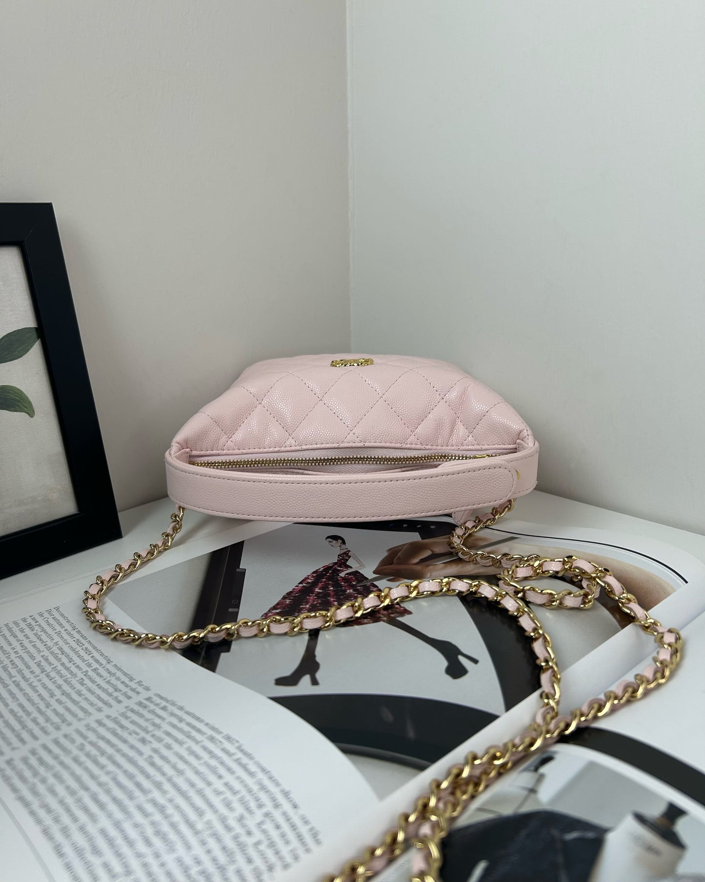 Hobo Bag