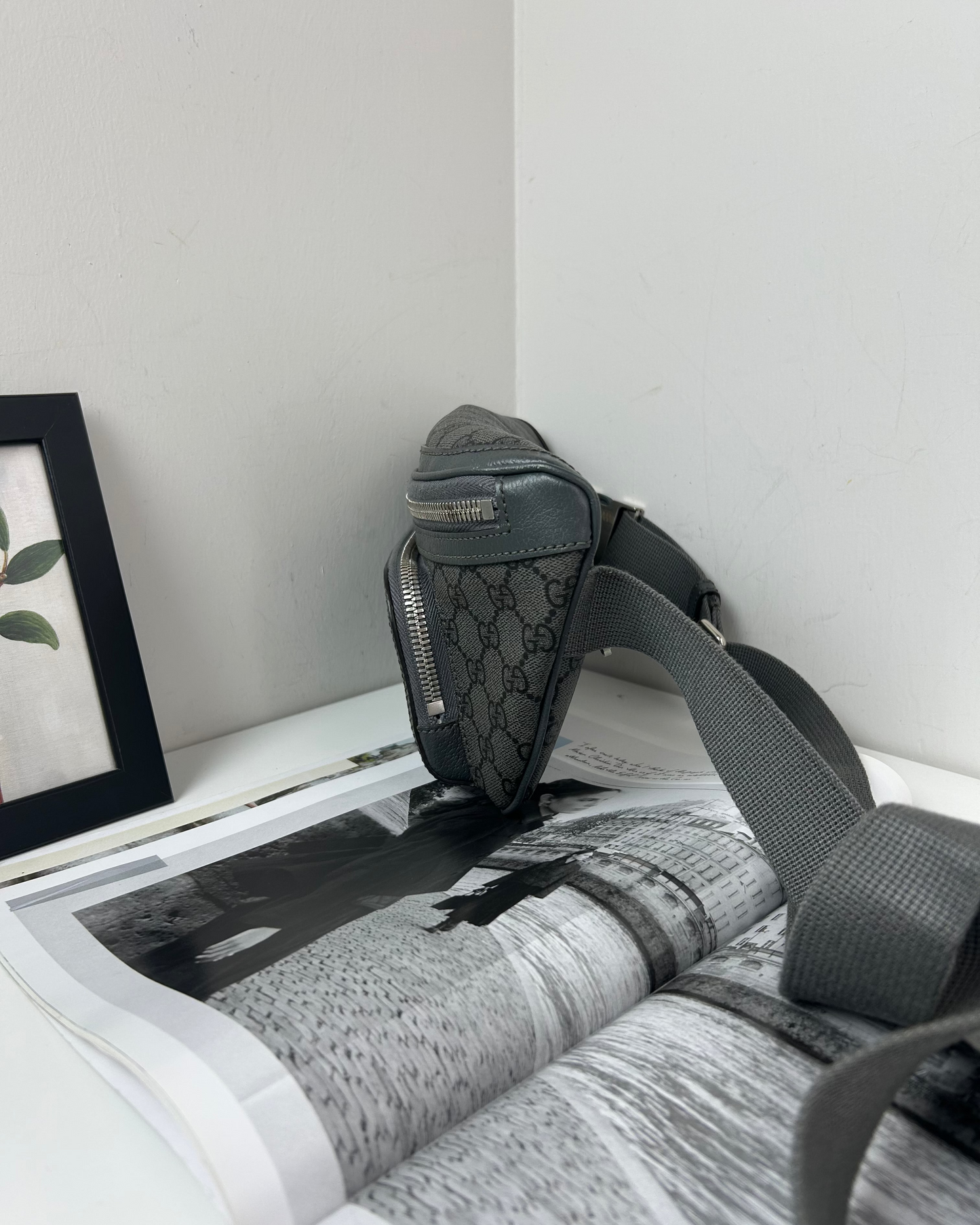 Ophidia Belt Bag