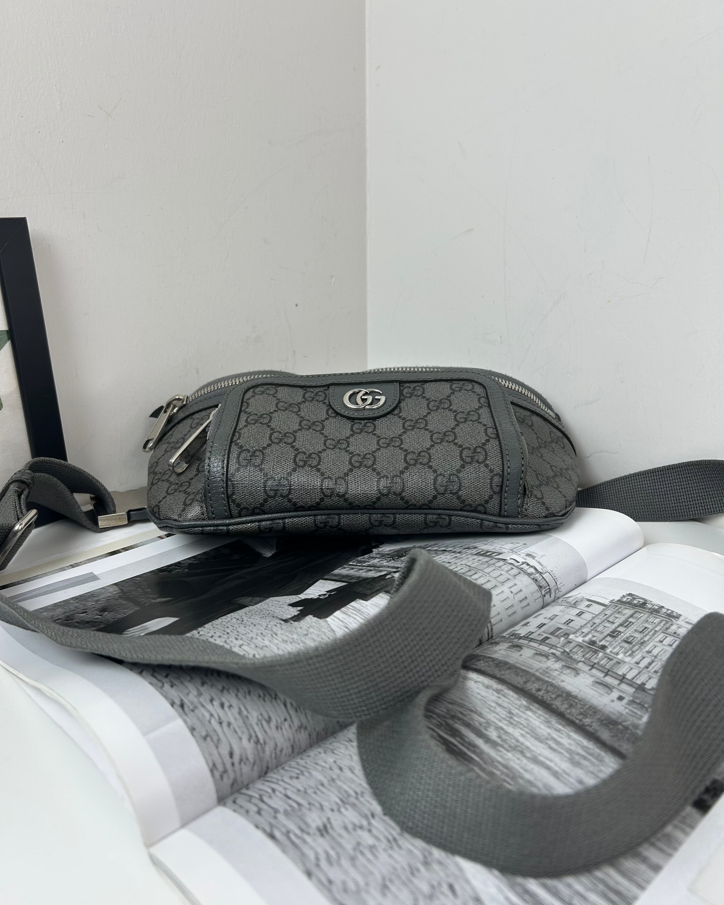 Ophidia Belt Bag