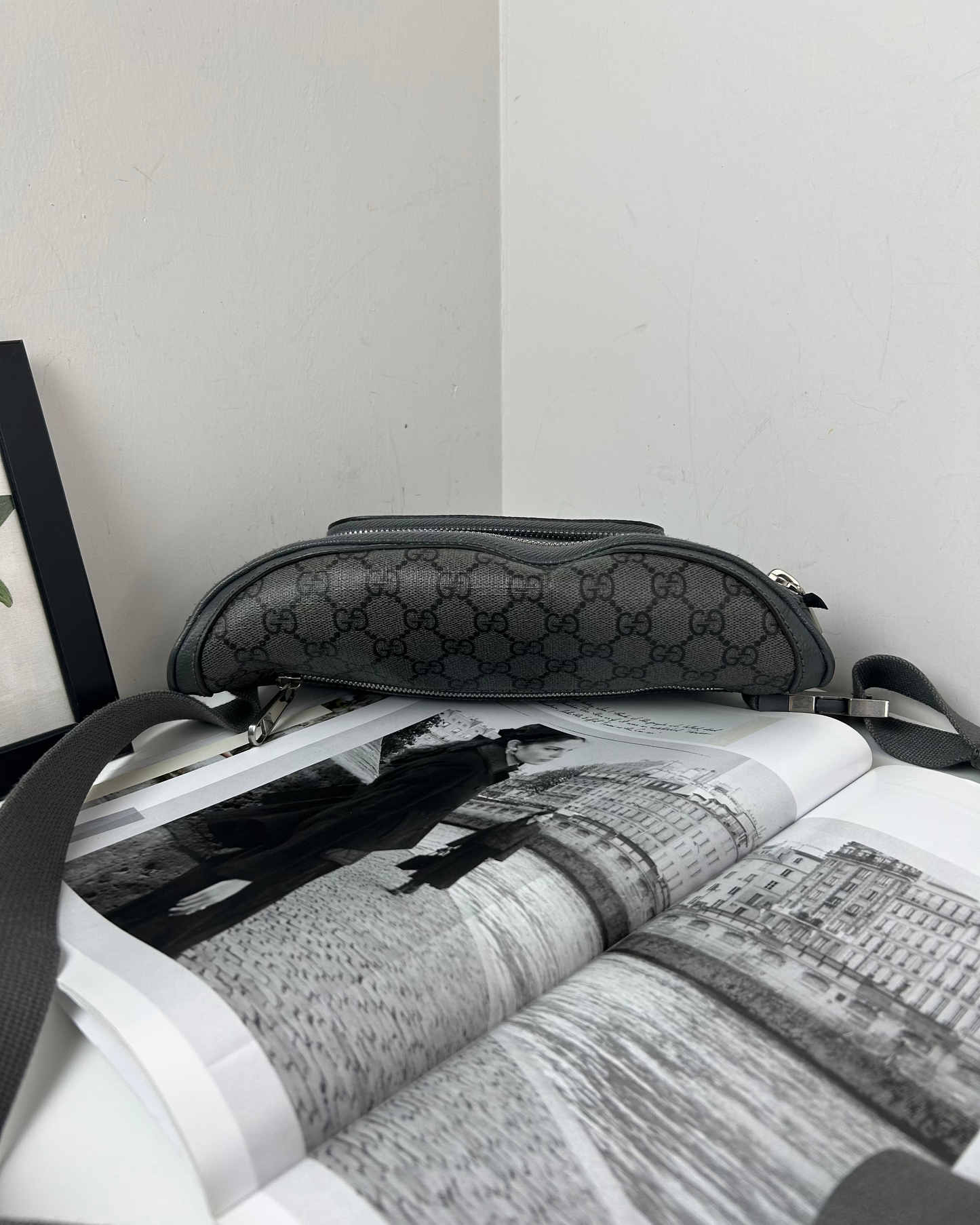 Ophidia Belt Bag