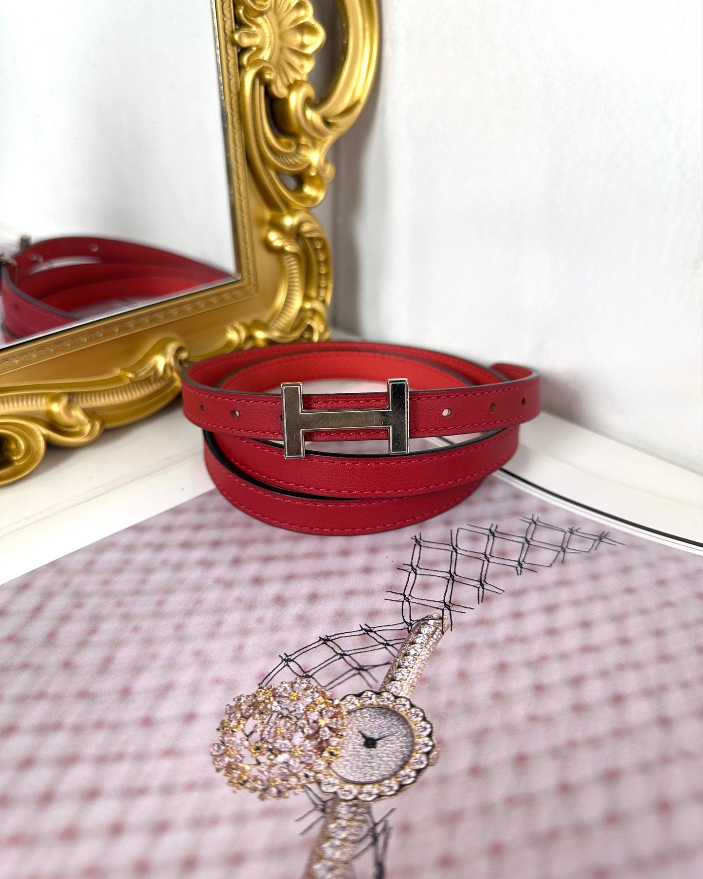 Focus Belt