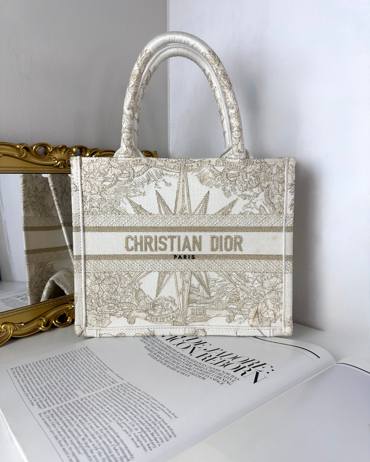Dior Book Tote