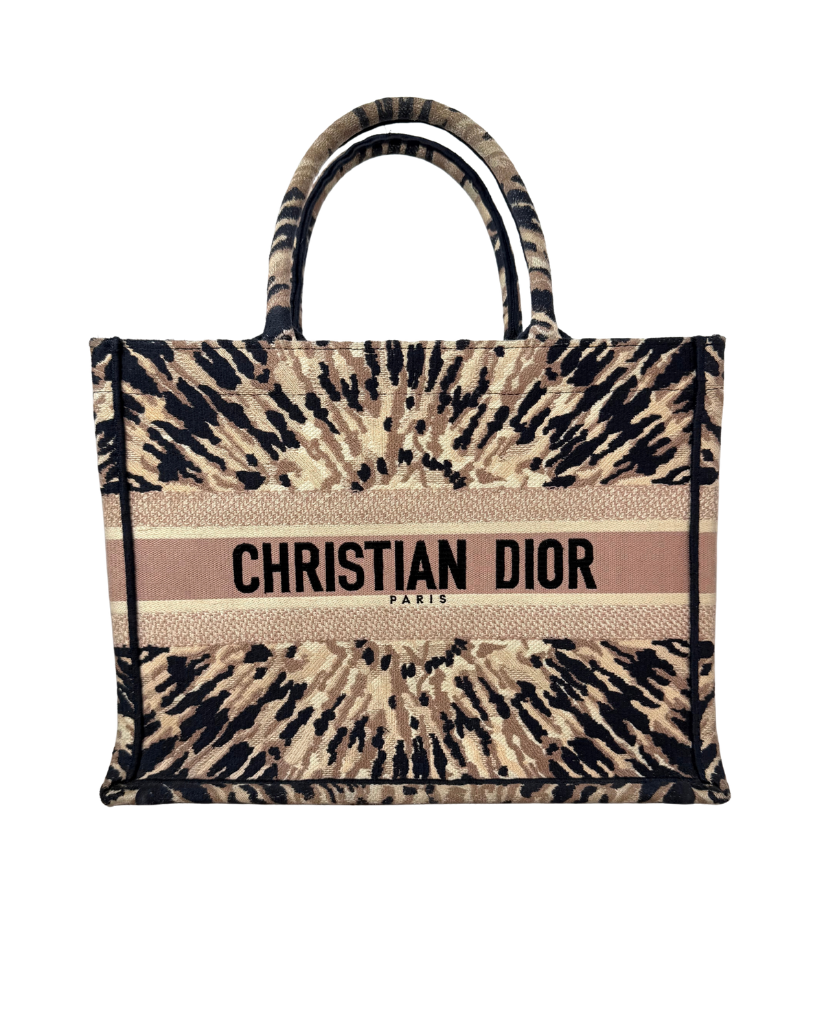 Dior Book Tote