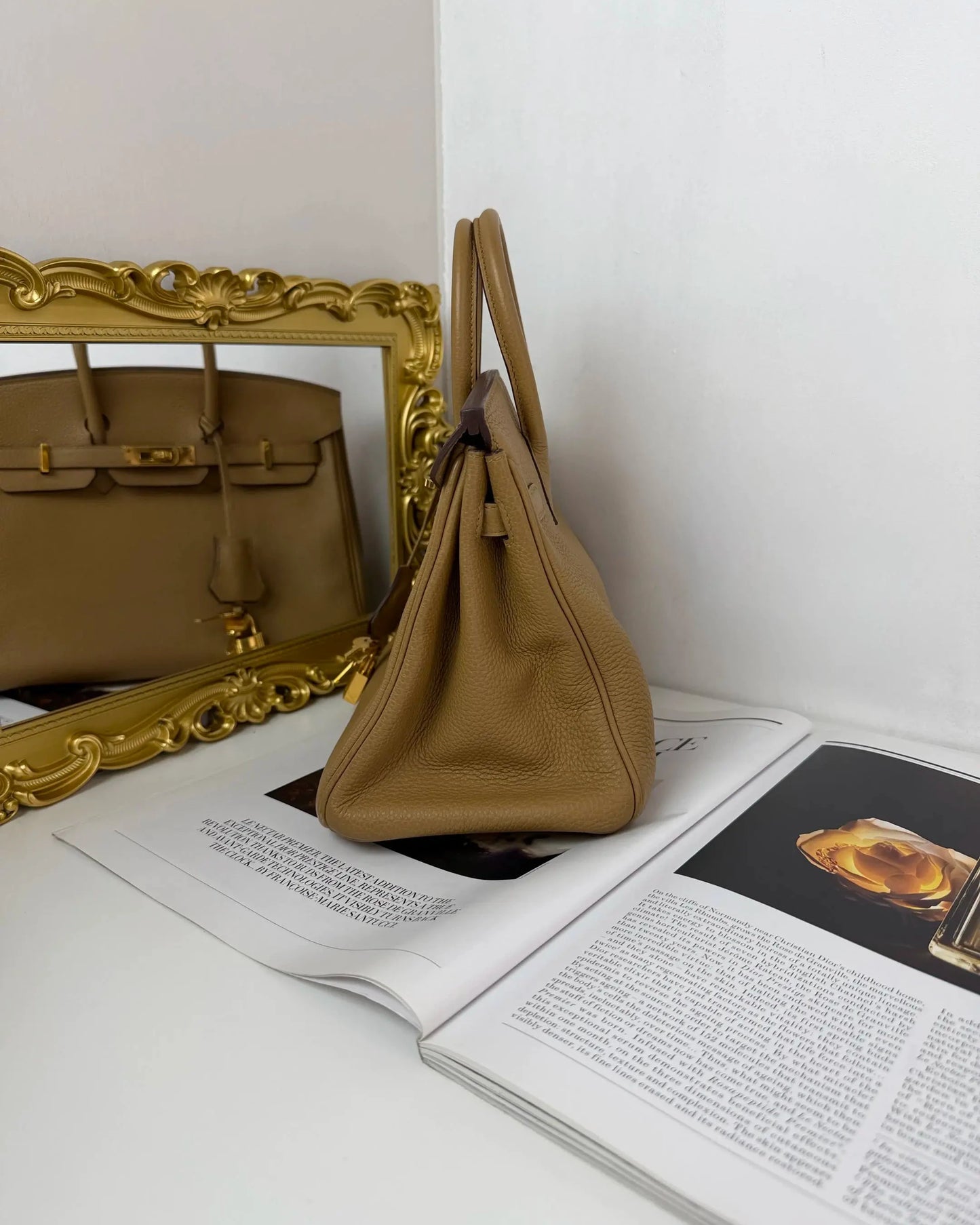 Birkin 25