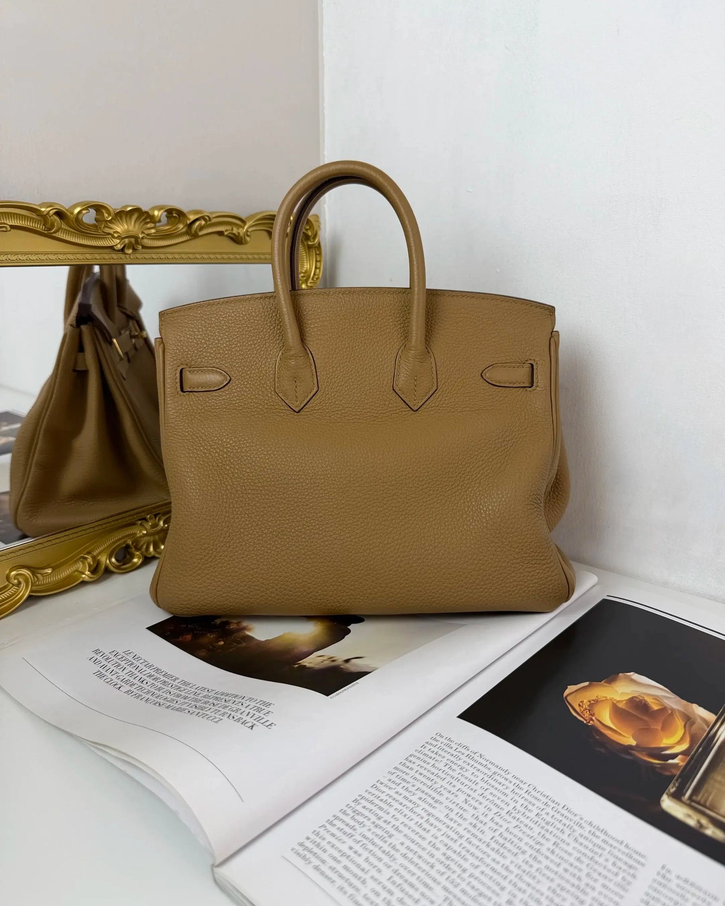 Birkin 25