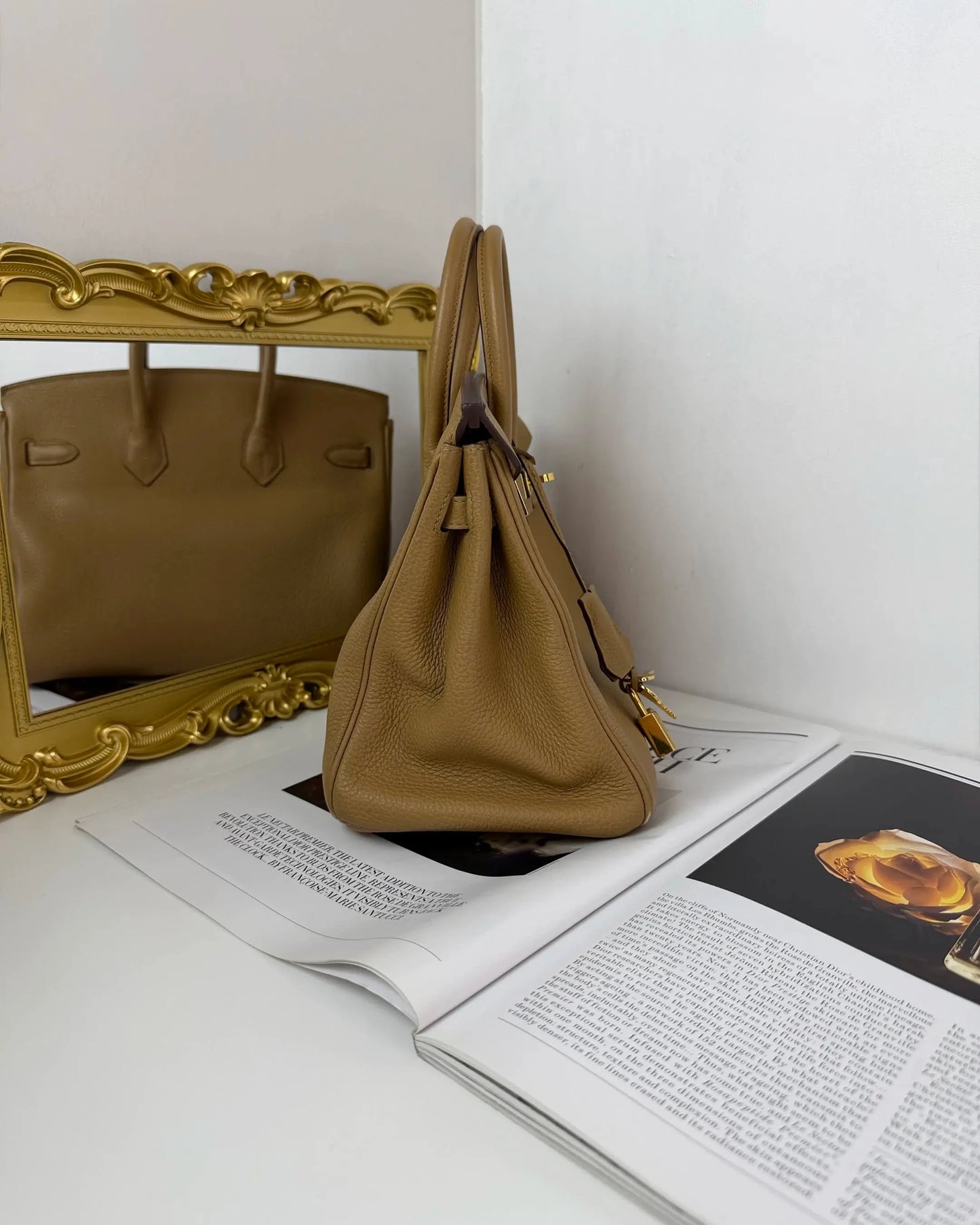 Birkin 25
